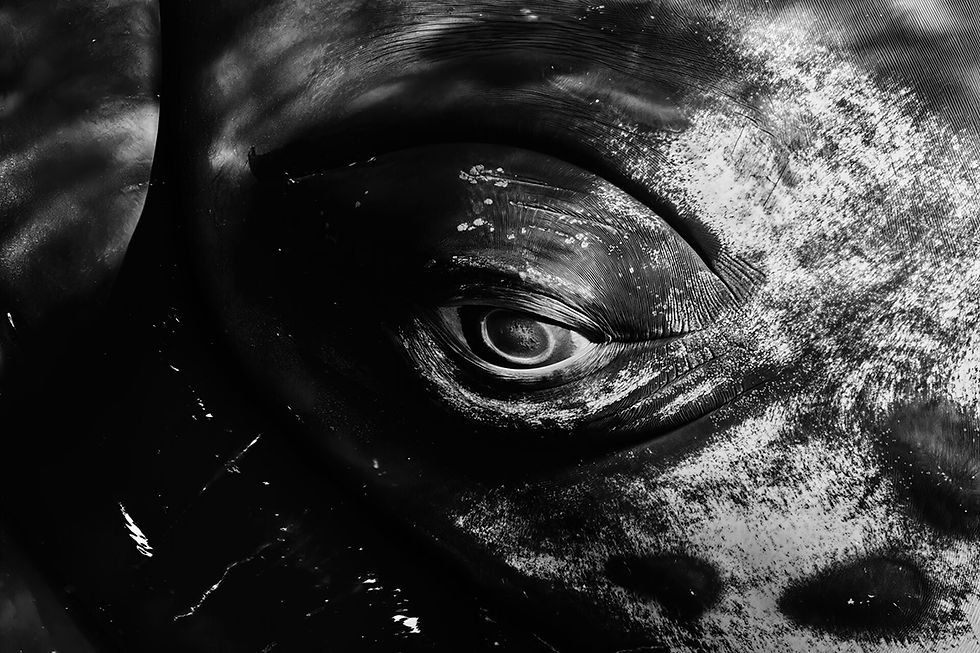 © Joaquin Fregoni, Argentina – Finalist, Fine Art Photographer of the Year.jpg