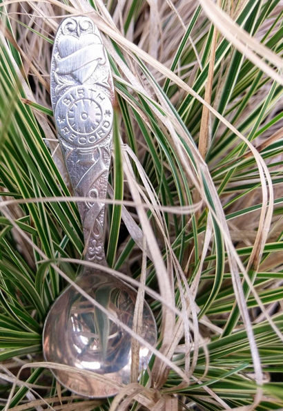 Birth Record Spoon
