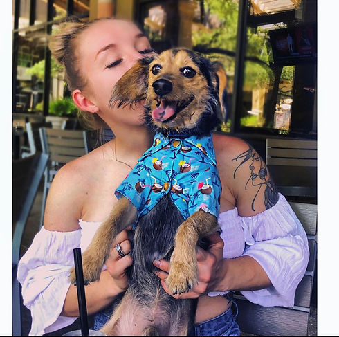hawaiian rosco.jpg