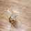 Miniature : Oeil