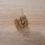 Miniature : Bague