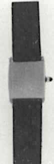 Cartier Tank Arrondie