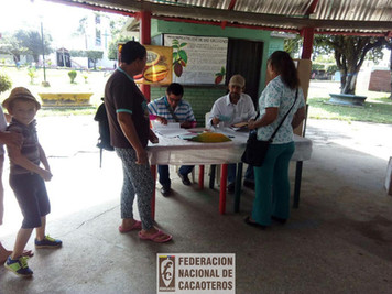 Persona votando en las elecciones cacaoteras 2018