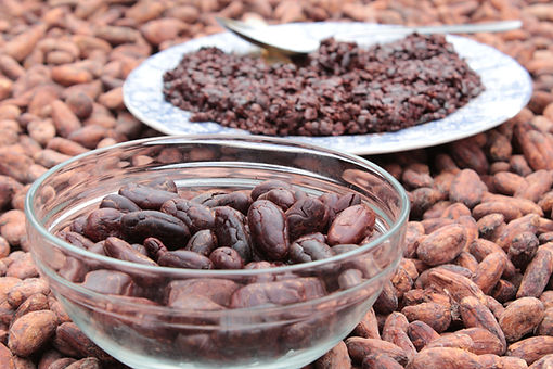 Cacao (8).JPG