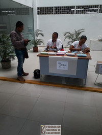 Persona votando en las elecciones cacaoteras 2018