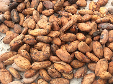 cocoa-1580724_1920.jpeg