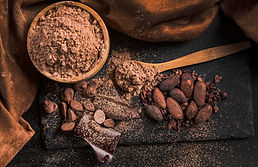 Fruto de cacao