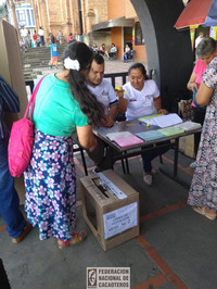 Persona votando en las elecciones cacaoteras 2018