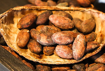 cacao-3995994_1920.jpeg