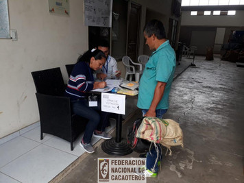 Persona votando en las elecciones cacaoteras 2018