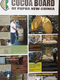 Poster que informa acerca del cacao