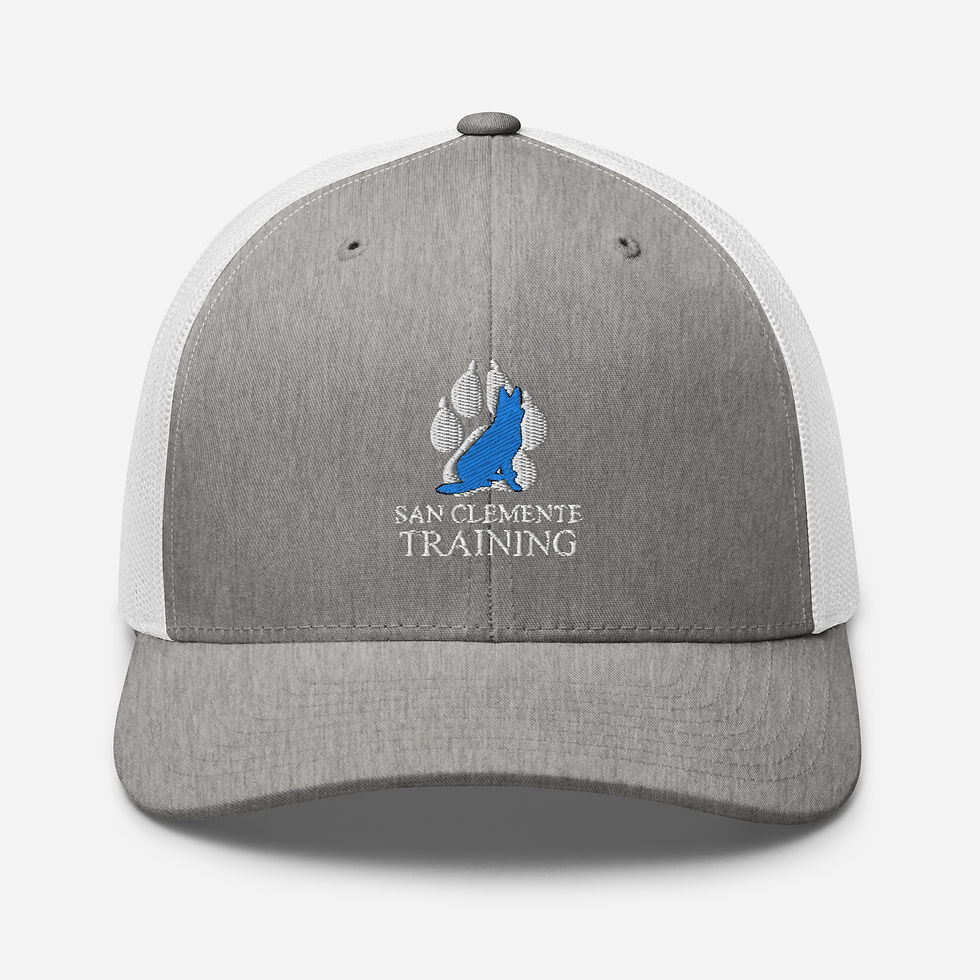 Thumbnail: SCT Logo Trucker Cap