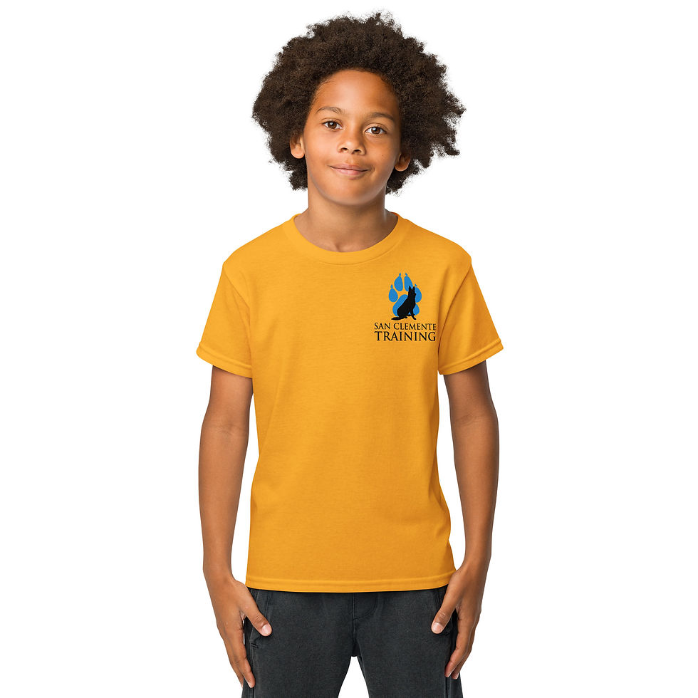 Thumbnail: SCT Youth t-shirt