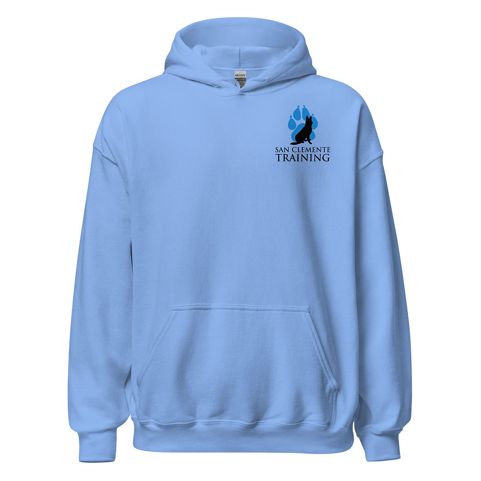 Thumbnail: SCT Motto Hoodie Light Colors
