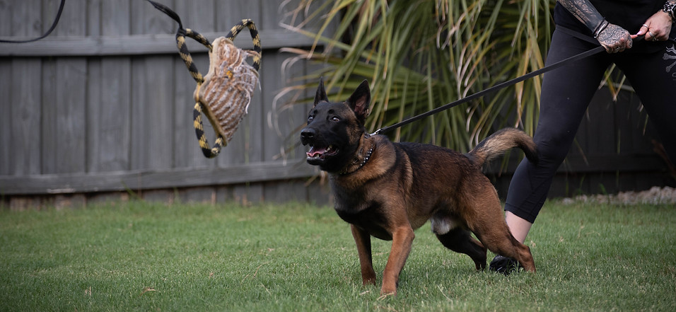 Protection Sport Client with Her Dog