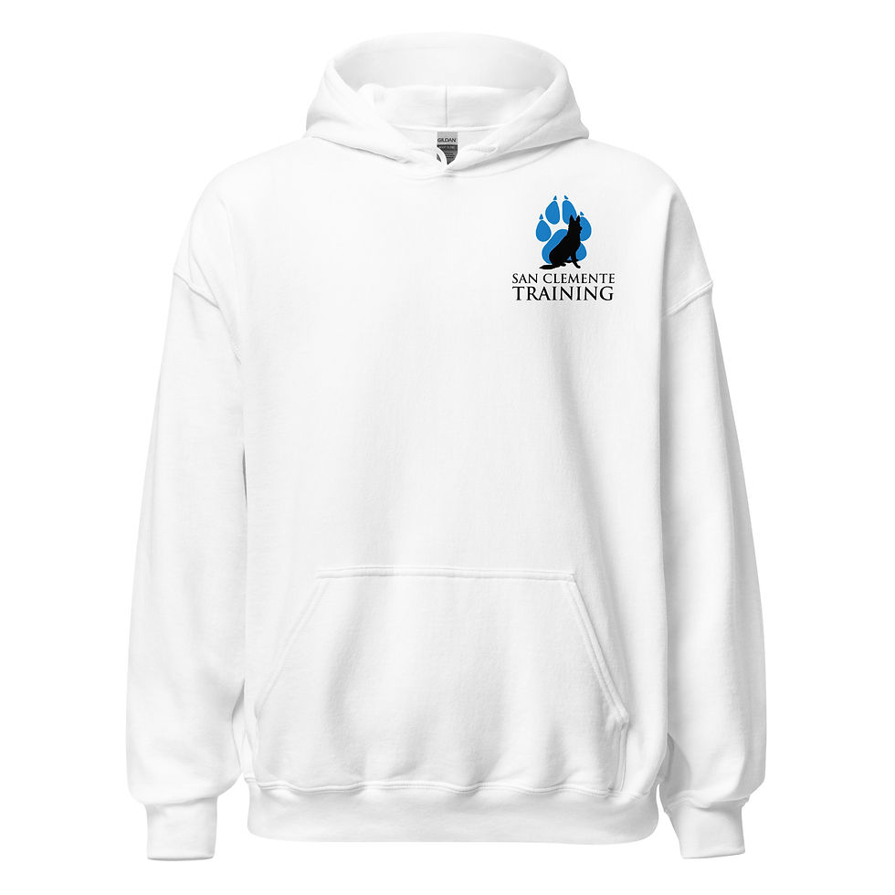 Thumbnail: SCT Motto Hoodie Light Colors