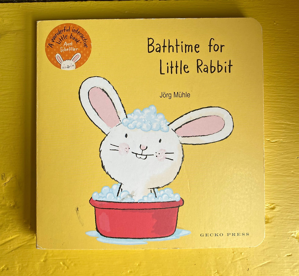 Bathtime For Little Rabbit picture book