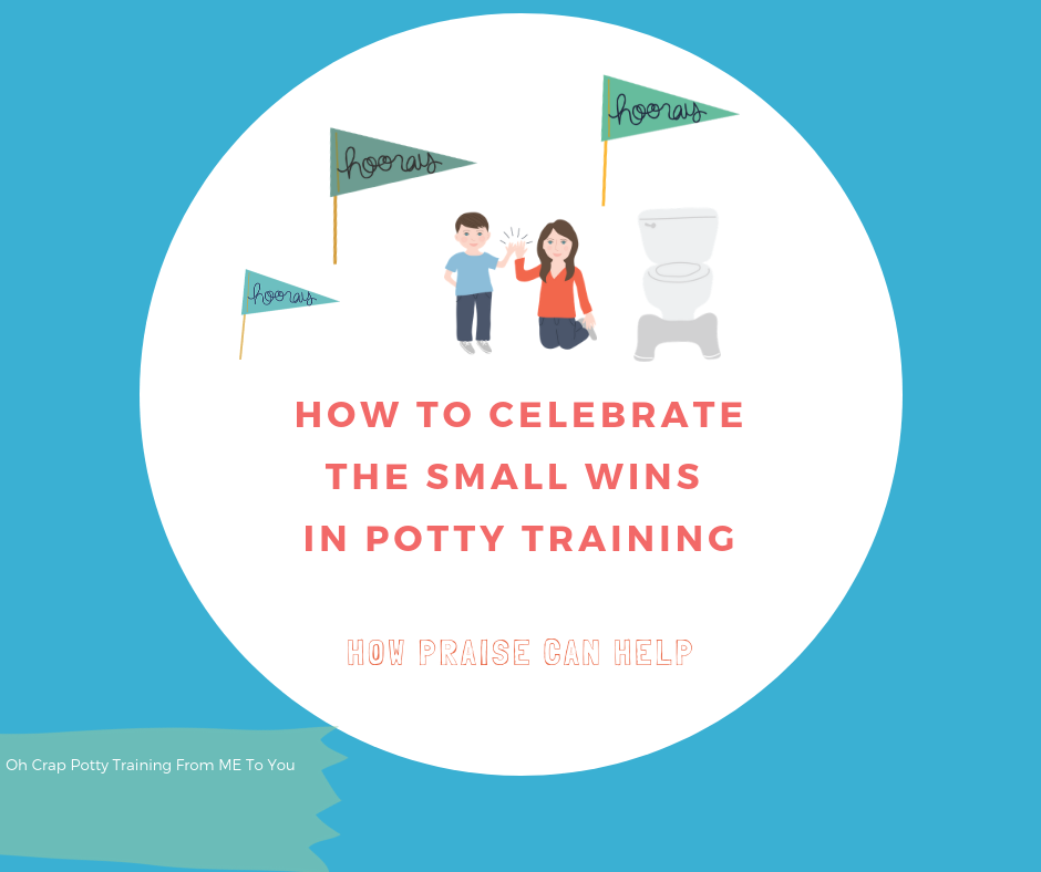 How to Celebrate the Small Wins in Potty Training