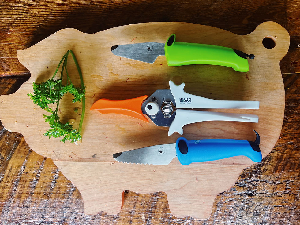 Montessori kitchen knifes for kids