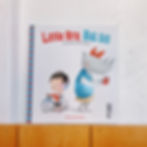 Little Bro, Big Sis picture book for new siblings