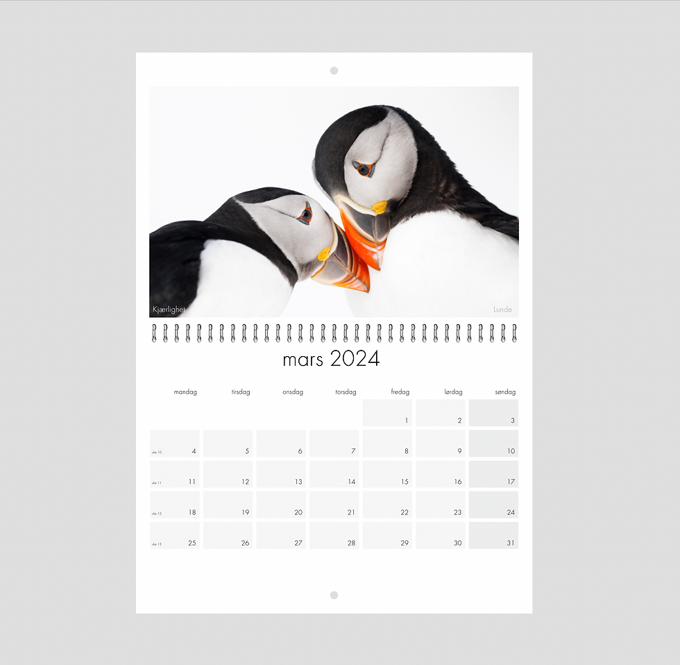 Thumbnail: 2024 Calendar (Norwegian)