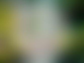 What Human Design Actually Shows