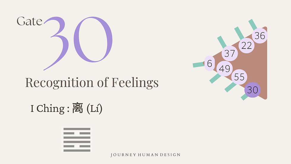 Human Design Gate 30, Recognition of Feelings, shown on the Solar Plexus with its I Ching hexagram Li