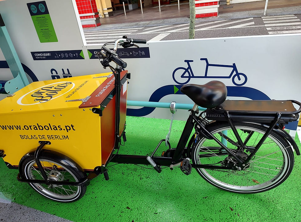 Sīktēls: BICIPARKING CARGO single Secure