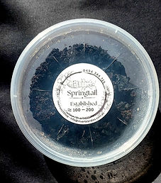 Untitled design (16)_edited.jpg