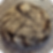 Tourte Auvergnate de Seigle