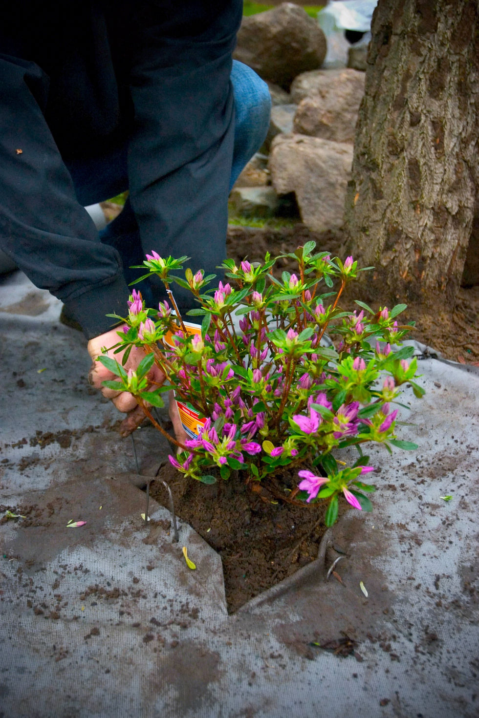 landscape fabric for the perfect home garden