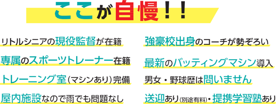 寒川町 茅ヶ崎市 少年野球教室