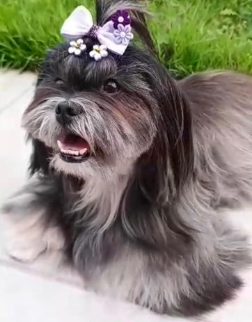 WhatsApp Image 2022-04-20 at 01.18.01.jpeg