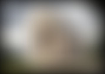 Santa María del Naranco (1)