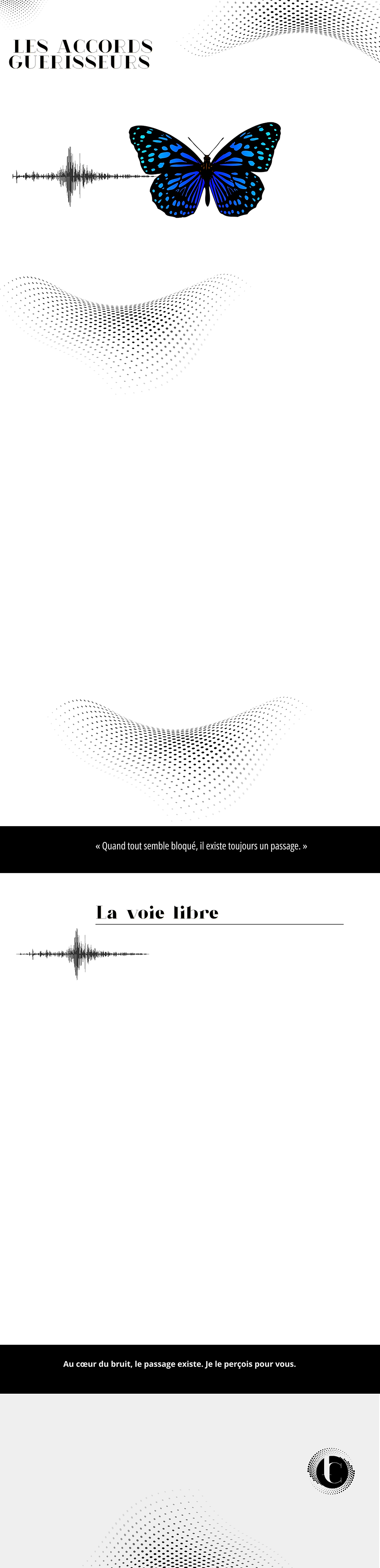 Un soin énergétique doux et profond pour libérer ce qui vous pèse, apaiser vos émotions et vous reconnecter à votre énergie v