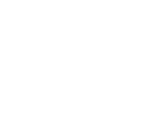 Bible Icon.png