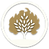 Fireside Transparent Logo.png