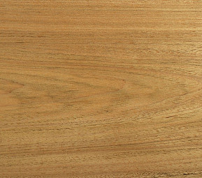 Folha de madeira laminada natural, freijó
