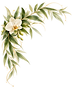 Watercolor Orchid Corner Ornament.png