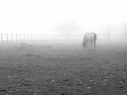 23509443_10213037409463271_6556066285714314010_o