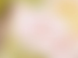 Pochette transparente à 9 compartiments présentant un échantillon de produits Stampin’ Up! issus du catalogue saisonnier, des exclusivités en ligne et du catalogue annuel.