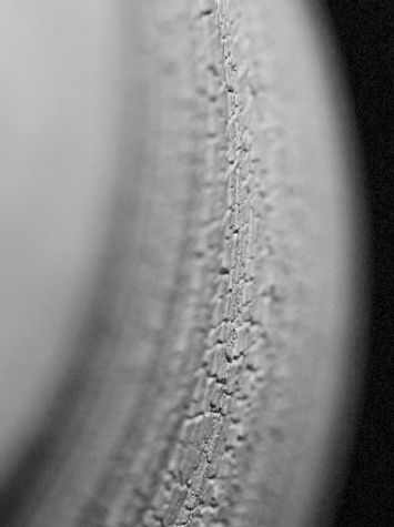 IMG_8033.jpg