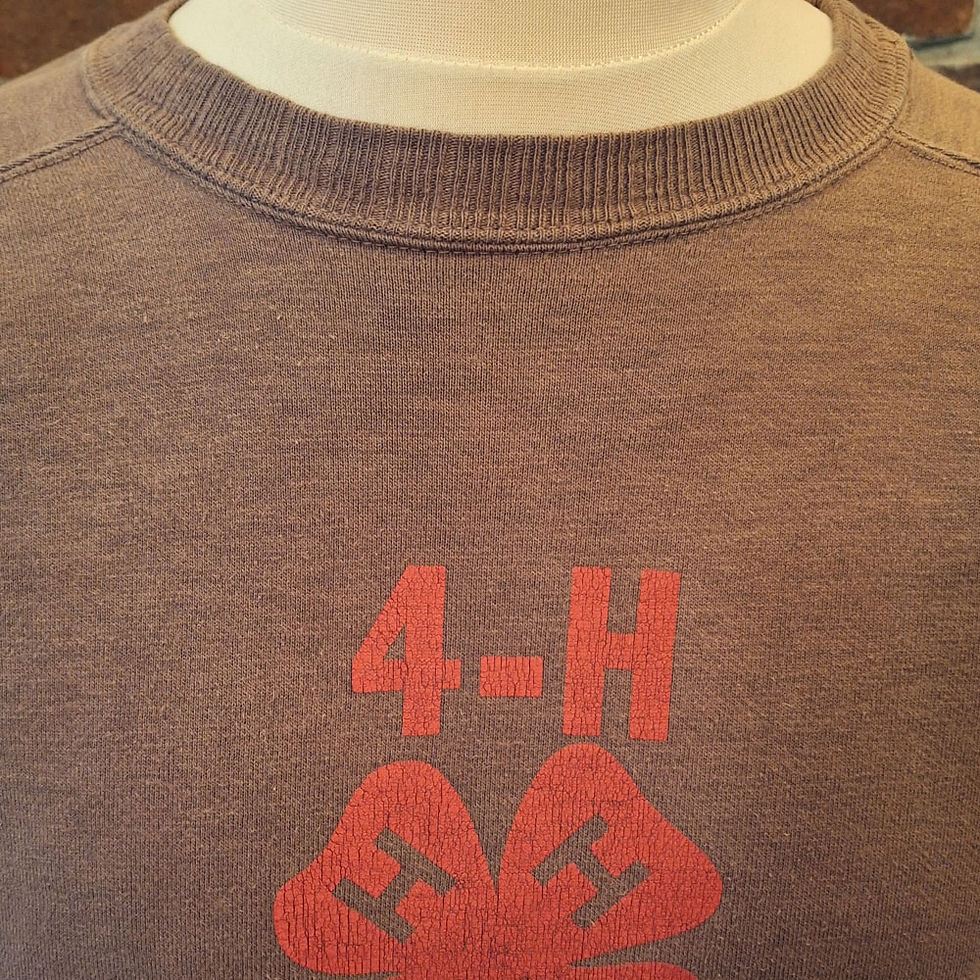 Thumbnail: Dubbleworks 4-H Camp Sweatshirt