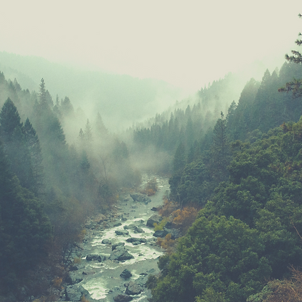Untitled design (2).png