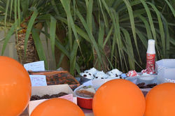 44744915_2332944236777107_31821299008279