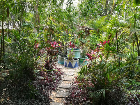 Suan Sati - ein super Retreat