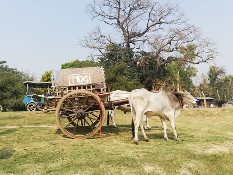 Fazit von Myanmar