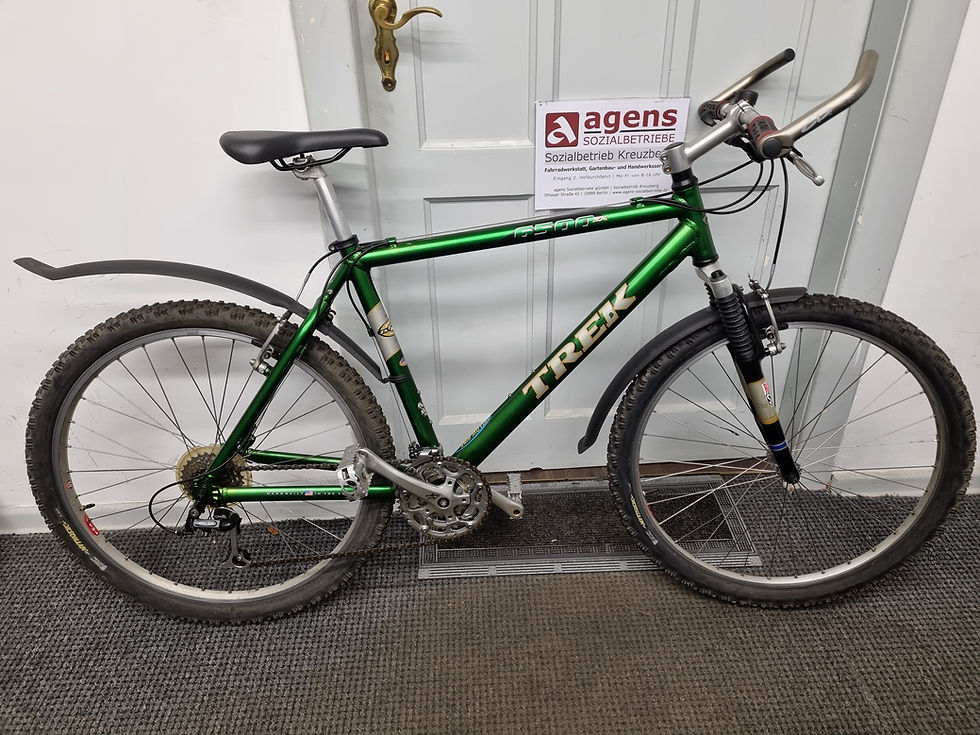 Herrenrad, 26Zoll, Treck