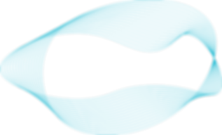 Asset 3 (2).png