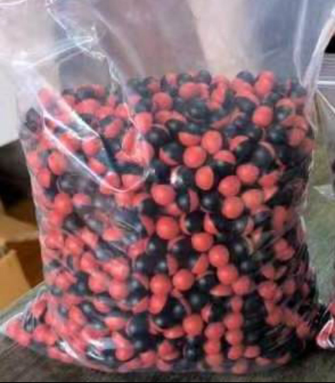 BEAR SCARE .43 Caliber - 20% PAVA RED/BLACK shell